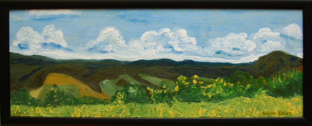 2008 — (9) (16) Krajina, A,O,S, cca 18x45cm